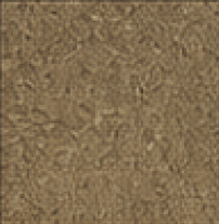Buff colored concrete sample